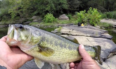 Creek Fishing – Locating and Catching Some Nice Creek Bass!