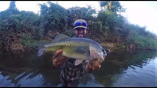 Ditch Fishing For BASS!!!