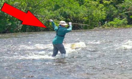 Flair – Homemade SPEAR Fishing PIRANHAS in the AMAZON!!! (Bad Idea)