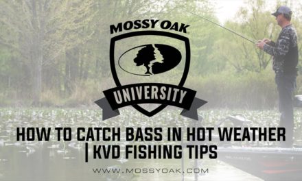 How To Catch Bass In Hot Weather | KVD Fishing Tips