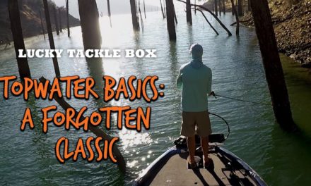How To Catch Bass with a Topwater Prop