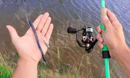 How To Catch Fish When It’s TOUGH (Bass Fishing Tips)