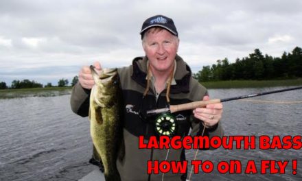How to Catch BIG Largemouth Bass On Top with Flies!