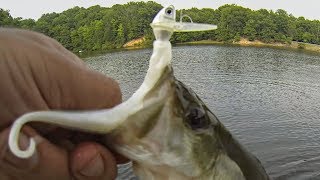 Late Summer Bass Fishing On Top, Middle & Bottom- INSANE NUMBERS!!!