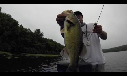 Late Summer Bass Fishing Tips Part 1