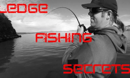 Ledge Fishing: Techniques For Catching Huge Bass