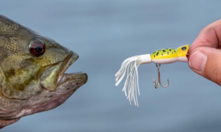 LakeForkGuy – Micro Popper Fishing Challege