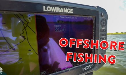 Offshore Bass Fishing Tips | Locating Fish and Best Baits