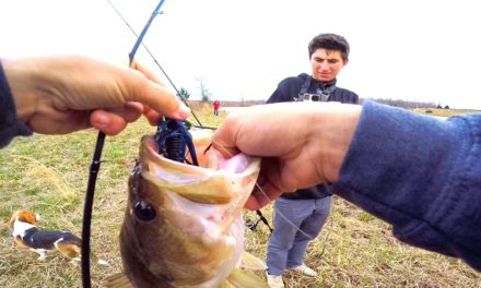 Flair – Searching for HUGE Bass with Apbassing