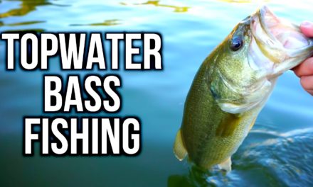 Flair – Summer Topwater Bass Fishing