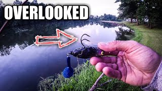 Teckel Sprinker – Booyah Toadrunner – AND an UNEXPECTED LURE (Fall Transition Bass FIshing Tips)