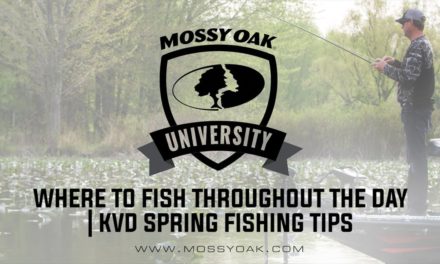 Where To Fish Throughout the Day | KVD Spring Fishing Tips