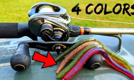 1 Lure – 4 Colors Fishing CHALLENGE (Bass Pro Shops)