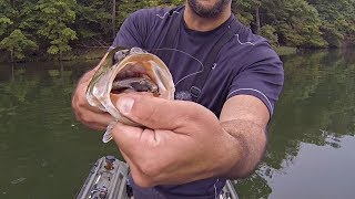 A Typical Day of Early Fall Bass Fishing on a Pressured Lake !!!