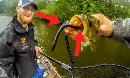 Bait So Nice Fish Ate It TWICE?! Ridiculous Catch in Jon Boat Bass Fishing Tournament