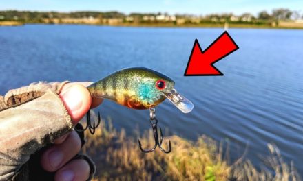Bass Fishing Lure I NEVER USE…(It Actually WORKS!!!)