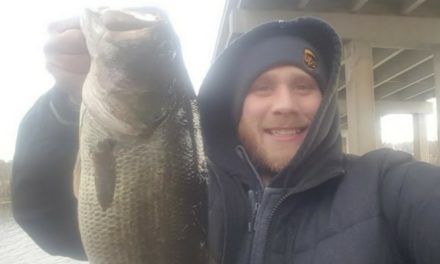 Chicago bass fishing KVD red eye Shad 2018