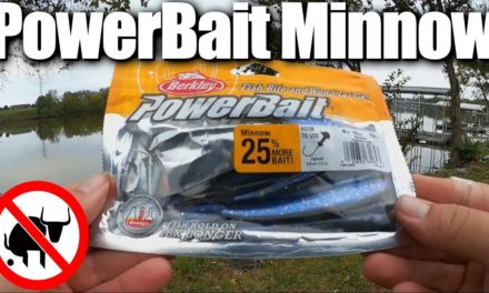 Fall Bass Fishing From the Bank – Fishing With a PowerBait Minnow