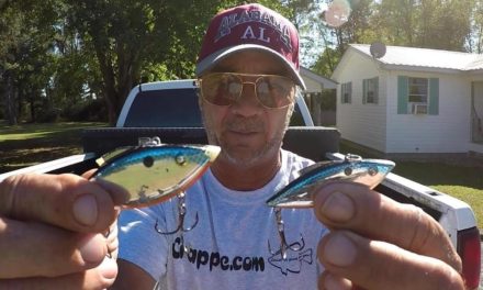 Fall Bass Fishing With Lipless Crankbaits