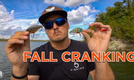 Fall Crankbait Fishing Tips | Catch Transitioning Bass On Reaction Baits