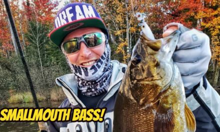 Finesse Fishing Smallmouth Bass in the Upper Midwest