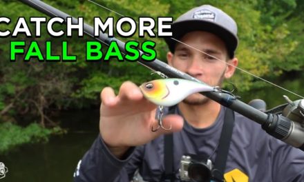 Fishing The Fall Transition For Bass | Top Baits To Fish NOW