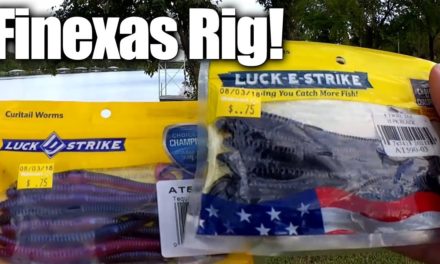 Fishing for Bass with Finesse Texas Rig Plastic Worms