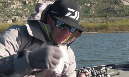 Fishing the Drop Shot with Brent Ehler