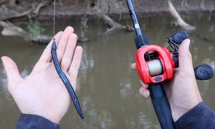 How To Catch MORE Bass (Bass Fishing Tips)