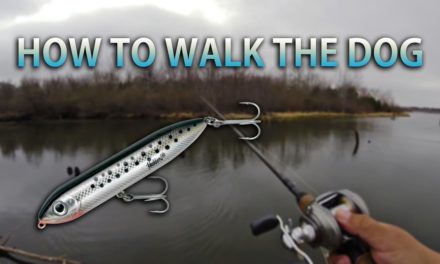 How to walk the dog; Topwater fishing