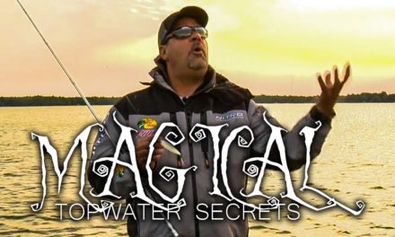 MAGICAL Bass Fishing SECRETS & Topwater Tips – Mark Zona