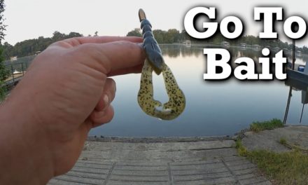 My go to bait for bass fishing, the Texas Rig Craw – What is yours?