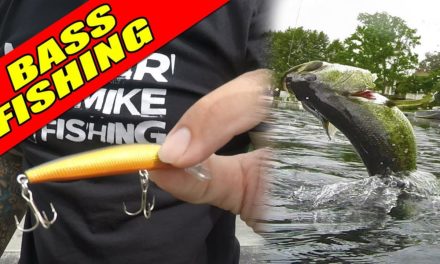 POND Fishing for BASS – Count the Fish!!! | Monster Mike