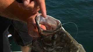 Port Canaveral Flounder Fishing Offshore of Cocoa Beach Florida