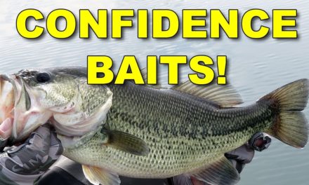 Secret Confidence Baits of the Pros! | Bass Fishing