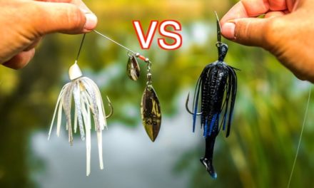 Flair – Spinnerbait VS Chatterbait Fishing Challenge!!! (Surprising Result!)