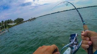 Lawson Lindsey – THESE SALTWATER FISH ARE INSANE!