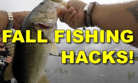 Top Fall Fishing Hacks You Need To Know! | Bass Fishing