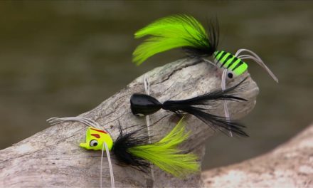Bass On A Fly – How To