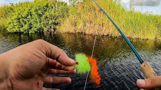 Lawson Lindsey – Exotic Multi Species Fishing Challenge
