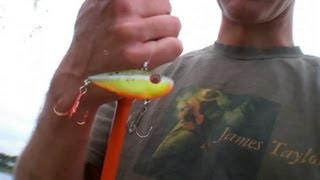 Fishing the Red Eye Shad in Hydrilla (Hat Cam Bass)