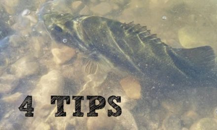 How to Catch Largemouth Bass – 4 Tips – San Diego