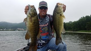 How to catch surface oriented bass when they won’t eat a topwater