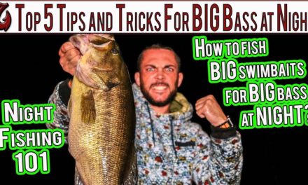 Top 5 Night Fishing Tips and Tricks For Bass //How to Catch Bass on Big Swimbaits and Frogs at Night