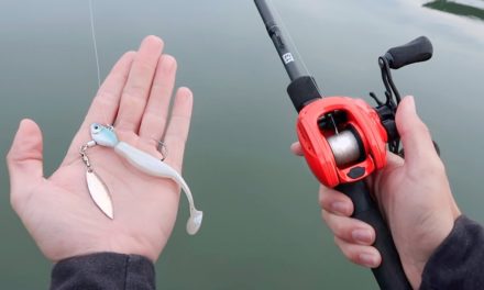 BEST Winter Fishing Lure (Bass Fishing Tips)