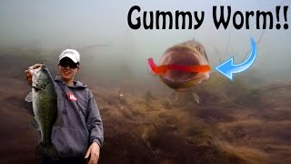 Bass Fishing with Gummy Worms!! Underwater Gummy Bites | TylersReelFishing