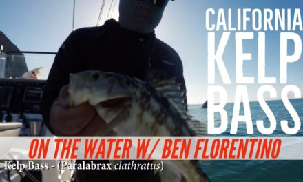 Catalina Calico Bass Fishing with Ben Florentino of Coastal Charters