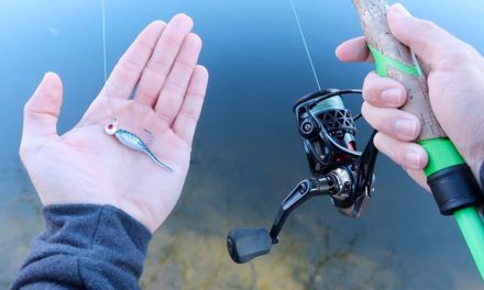 Catch 15x MORE Fish This Winter (Bass Fishing Tips)