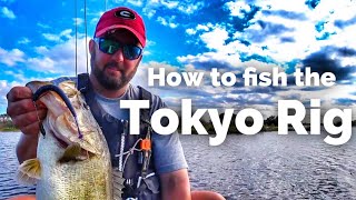 FlukeMaster – Does the Tokyo Rig Catch Giant Bass?? – How to Fish the Tokyo Rig – Bass Fishing