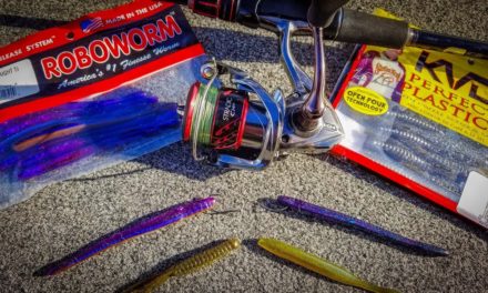Dropshot Fishing Tips: How To Catch Fish All Winter
